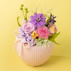 ��̓��@�v���U�[�u�h�t�����[�u���؁`FUUKA�`�v