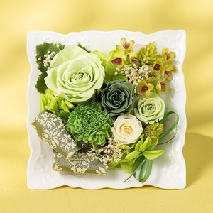 ��̓��@�v���U�[�u�h�t�����[�u���F���f�`�����̃t���[���`�v