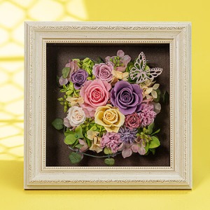 ��̓��@�v���U�[�u�h�t�����[�u�t�����[�t���[���`�p�s�����`�v