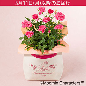 ��̓��@MOOMIN/���A���u�o�b�Oin���[�Y�`Moominmamma's Day 2026�`�v