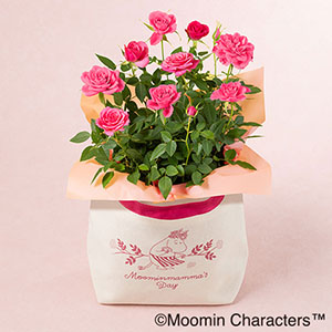 ��̓��@MOOMIN/���A���u�o�b�Nin���[�Y�`Moominmamma's Day 2026�`�v