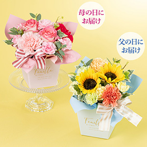 ��̓��E���̓� �Ί�炭�\��Z�b�g�u�A�����W�����g�@�؂₩�ȂЂƎ��v