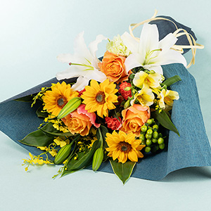 ���̓��@�ԑ��u�u�����A���g�@�A�[���[�T�}�[�v