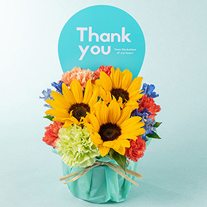 ���̓��@�A�����W�����g�u�T���V���C���_�f�B�v