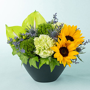 ���̓��@�A�����W�����g�u�T�����[�t�E�t�H���X�g�v