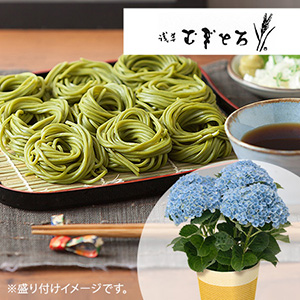 ���̓��@�A�W�T�C���A���Z�b�g�u�󑐂ނ��Ƃ�@�����΁v