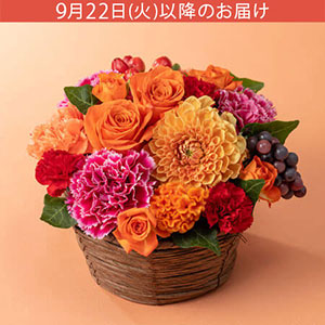 �h�V�̓� �A�����W�����g�u����̏H�ʃo�X�P�b�g�v