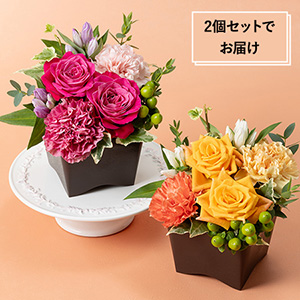 �h�V�̓� �����������E���΂������֑���Z�b�g�A�����W�����g�u���ӂ��v