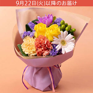 �h�V�̓� ���̂܂܏����ԑ��u�ԐF�p���b�g�v