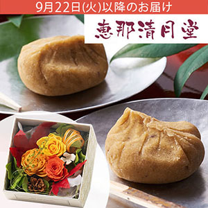 �h�V�̓� �u�b�ߐ������@�I����Ƃ�v�v���U�[�u�h�Z�b�g