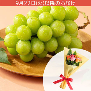�h�V�̓��u�����@�V���C���}�X�J�b�g�v�ԑ��Z�b�g