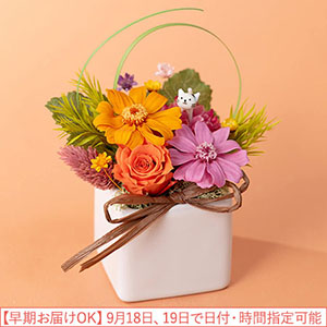 �h�V�̓� �v���U�[�u�h�t�����[�u�ɂ��ł��b�����I�v�y�������͂��z