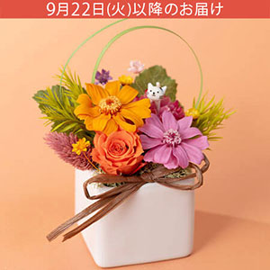 �h�V�̓� �v���U�[�u�h�t�����[�u�ɂ��ł��b�����I�v