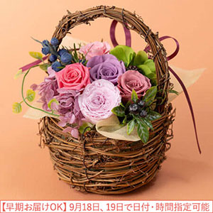 �h�V�̓� �v���U�[�u�h�t�����[�u�����炸�̃o�X�P�b�g�v�y�������͂��z