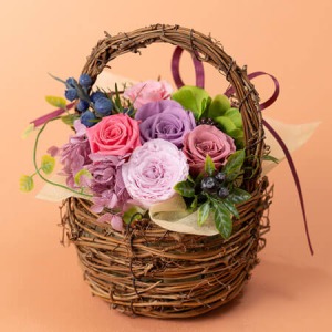 �h�V�̓� �v���U�[�u�h�t�����[�u�����炸�̃o�X�P�b�g�v