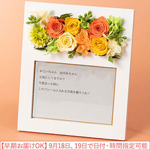�h�V�̓� �v���U�[�u�h�t�����[�u���b�Z�[�W��͂���t�H�g�t���[���v�y�������͂��z