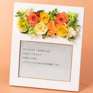 �h�V�̓� �v���U�[�u�h�t�����[�u���b�Z�[�W��͂���t�H�g�t���[���v
