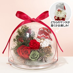 �y�N���X�}�X�z�v���U�[�u�h�t�����[�@�X�̃T���^�̑��蕨