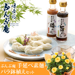 バラ鉢植えセット「味吉兆　ぶんぶ庵　手延べ素麺セット」