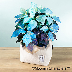 MOOMIN Aujj@|CZ`Av