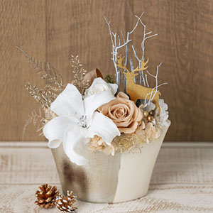 プリザーブドフラワー「ウィンター・リリー」
