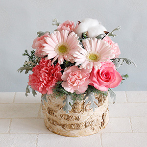 AWguWinter Sweet Pinkv