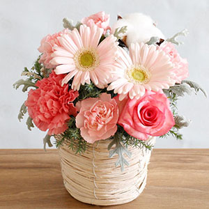 EX�A�����W�����g�uWinter Snow Pink�v