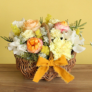 �A�����W�����g��~���U�E�o�X�P�b�g�v