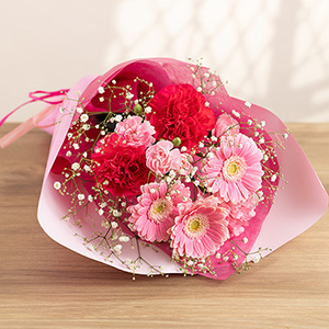 �ԑ���T�C�Y���I�ׂ�ԑ��`�s���N�ES�`�v