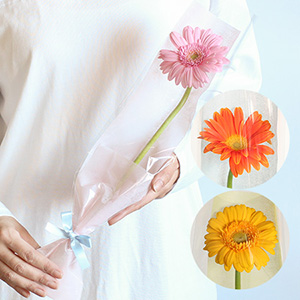 �ԑ��u�����I�ׂ�K�[�x��1�փu�[�P�v