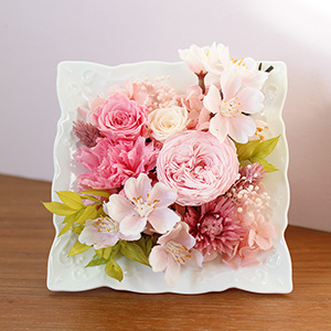 �v���U�[�u�h�t�����[�u�����`MIO�`�v