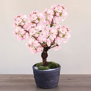 �~�́u�������v