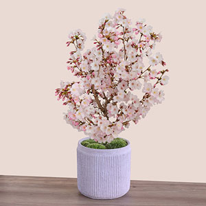 �~�́u��a����v