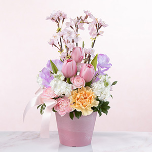 �A�����W�����g�u�t���� �f �t���[���v