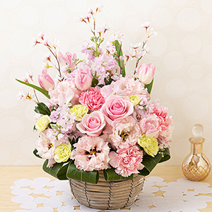 �A�����W�����g�uClassy Spring�`���炭�t�`�v