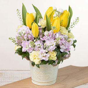 �A�����W�����g�u�n�b�s�[�E�C�G���[�v