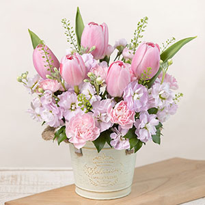 �A�����W�����g�u�n�b�s�[�E�s���N�v