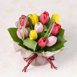 �A�����W�����g�u�X�v�����O�@�L�����f�B�[�v