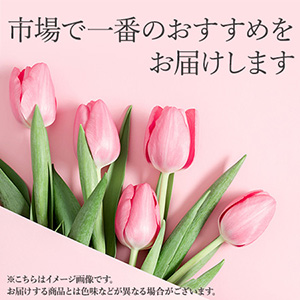 �ԑ��uTodays Tulip�`���Ƃɏ��낤�`�v