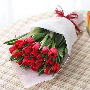 �ԑ��u�{�����I�ׂ�`���[���b�v(���b�h)�v