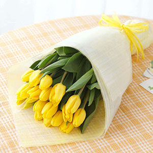 �ԑ��u�{�����I�ׂ�`���[���b�v(�C�G���[)�v