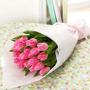 �ԑ��u�{�����I�ׂ�`���[���b�v(�s���N)�v