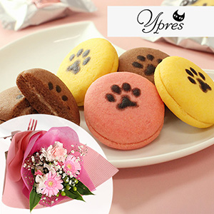 �ԑ��Z�b�g�u�C�[�y���̔L�Ղ�@�T���h�N�b�L�[�v