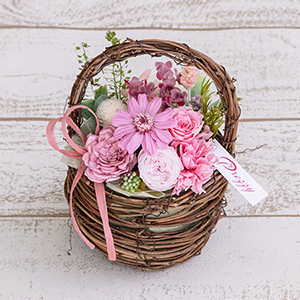 �v���U�[�u�h�t�����[�u�t���[���E�p�j�G�@�R�b�g���s���N�v