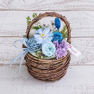 �v���U�[�u�h�t�����[�u�t���[���E�p�j�G�@�p�E�_�[�u���[�v