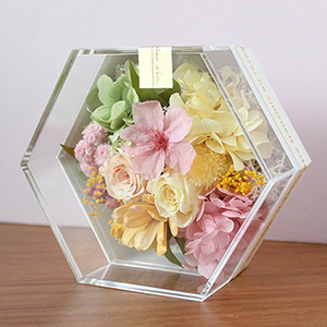 �v���U�[�u�h�t�����[�u�T�N�����F�[���@�n�j�J���C�G���[�v