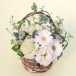 �A�����W�����g�u�V���C���K�[�f���`White & Green�`�v
