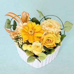 �v���U�[�u�h�t�����[�u�V�g�����E�G�[���v