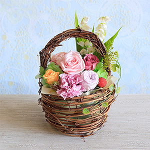 �v���U�[�u�h�t�����[�u�~���Q�`�������̍炭��`�v