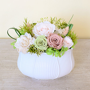 �v���U�[�u�h�t�����[�u�N���E�h�E�V�G�X�^�v